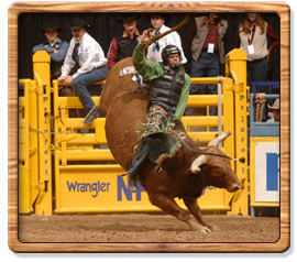 Bull Riding 2006 World Champion - B.J. Schumacher