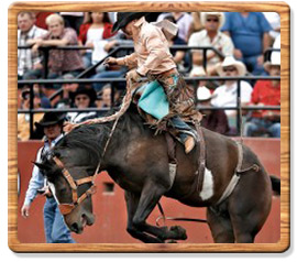 Saddle Bronc Riding 2009 World Champion - Jesse Kruse