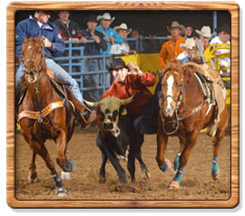 Steer Wrestling 2006 World Champion - Dean Gorsuch