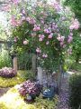 Strader Garden