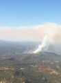 Vegetation Fire Near Murphys