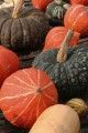 Various Winter Squash