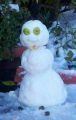 Snowman Spotted Near Sonora