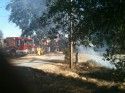 Trace Road Fire