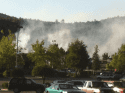 Vegetation fire behind Burger King in Sonora