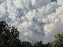 Rim Fire Huge Smoke Cloud Whites Gulch Groveland