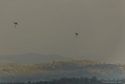 Helicopters in thick smoke Rim Fire 08-27-13