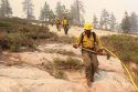 Rim Fire9