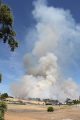 The Reed Fire in San Andreas