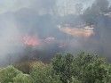 Standard Mill fire