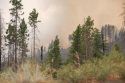 El Portal Fire