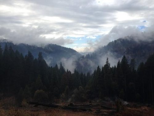 central valley forest fires Firefighters make progress in california fires €45 million to help portugal deal with the aftermath of forest fires sweeping across the center of the country. central valley forest fires Firefighters make progress in california fires €45 million to help portugal deal with the aftermath of forest fires sweeping across the center of the country.