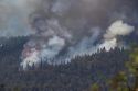 Oak Fire in Cedar Ridge