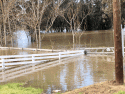 Flooding near Hatch Road and Vivian Road