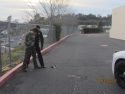 Sampson arrested at scene