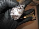Drugs found during search of car