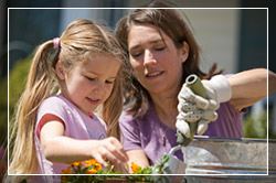 Master Gardener Master Gardener