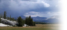Tuolumne Meadows