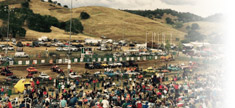 Calaveras Fair