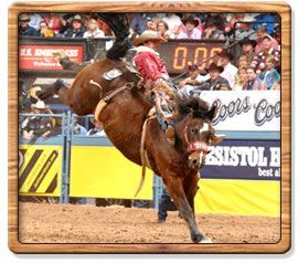 Bareback Riding 2006 World Champion - Will Lowe