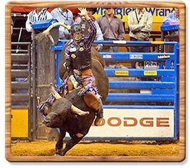 Bull Riding 2009 World Champion - J.W. Harris