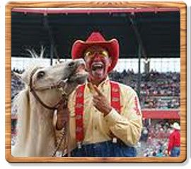 Rodeo Clown Punkintown