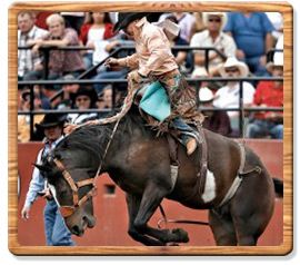 Saddle Bronc Riding 2009 World Champion - Jesse Kruse