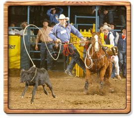 Tie-down Roping 2006 World Champion - Cody Ohl