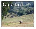 Groveland