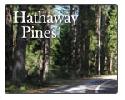 Hathaway Pines