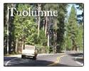 Tuolumne