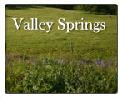 Valley Springs