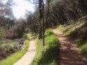 Dragoon Trail