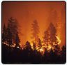 Fire Information Guide