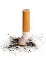 Extinguised cigarette