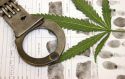 Crime - drugs - marijuana
