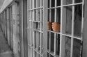 Crime - prison bars