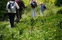 Outdoors - hiking