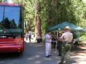 Yosemite Bus Inspection