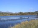 Phoenix Lake
