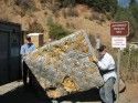 Sierra River Cleanup