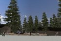 Future Calaveras Big Trees State Park Visitors Center
