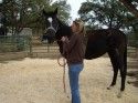 Gabriel at Rehorserescue Ranch