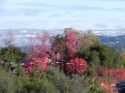 Changing Weather in Tuolumne County