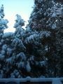 Winter Storm Watch Issued For The Sierra Nevada