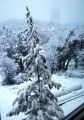 Snow in East Sonora