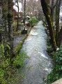 High water near downtown Murphys
