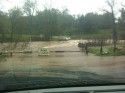 Flood Waters