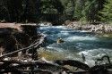 Merced River Rescue Drill