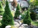 Fairy Garden